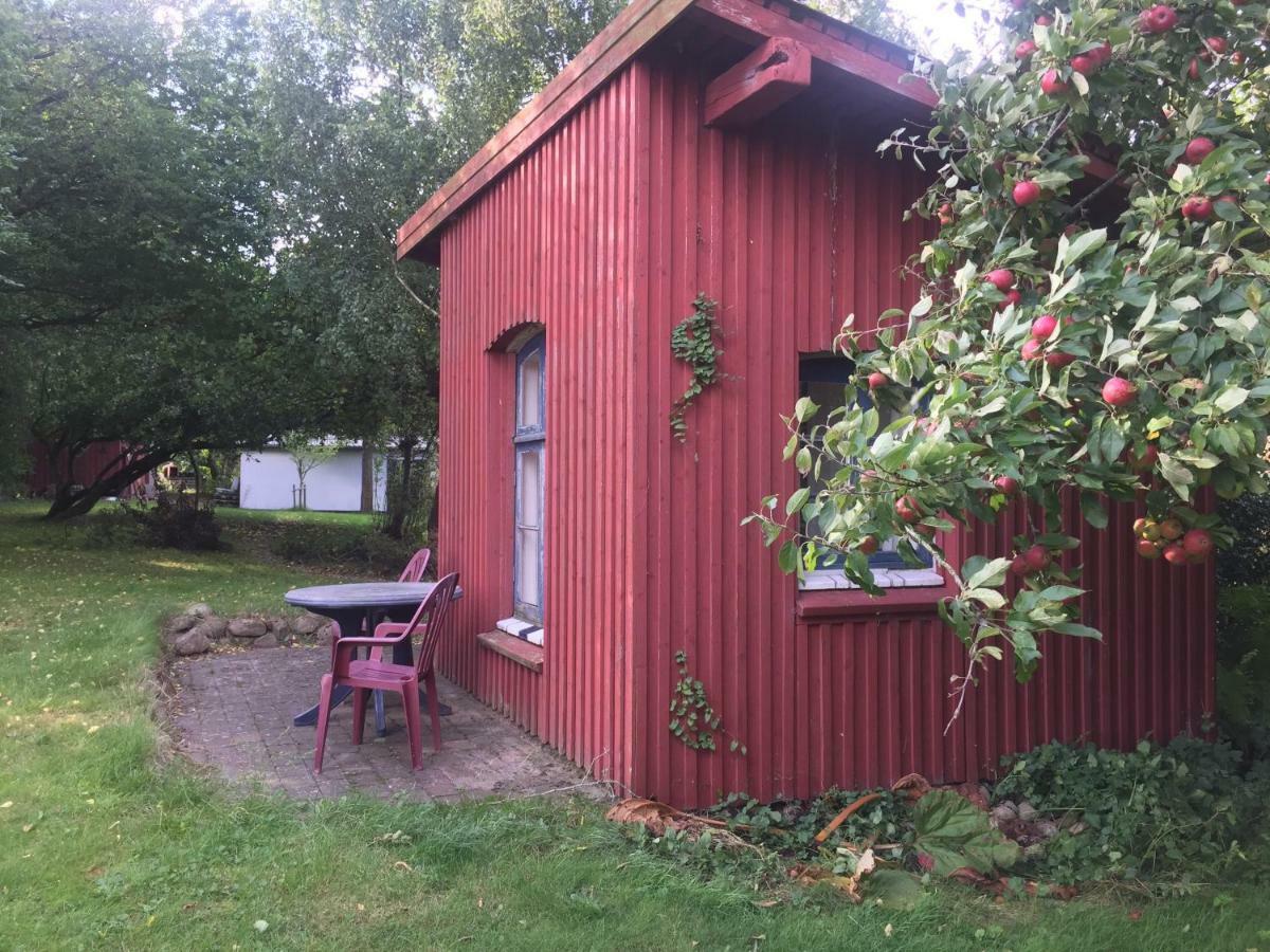 Rosenlund Bed & Breakfast Skovsgarde Exterior photo